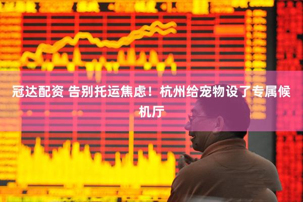 冠达配资 告别托运焦虑！杭州给宠物设了专属候机厅