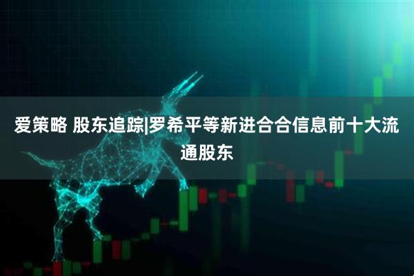 爱策略 股东追踪|罗希平等新进合合信息前十大流通股东